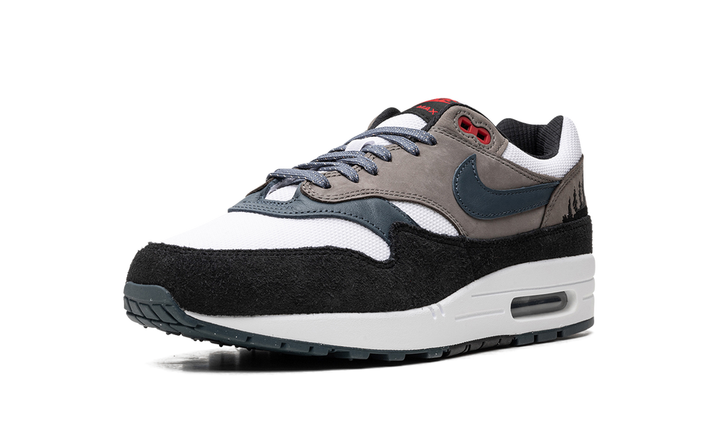 Nike Air Max 1 Slate Blue FJ0698 100