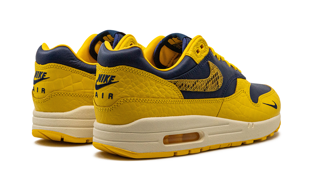 Nike AIR MAX 1 PRM MNS WMNS Co.jp Head to Head FJ5479 410