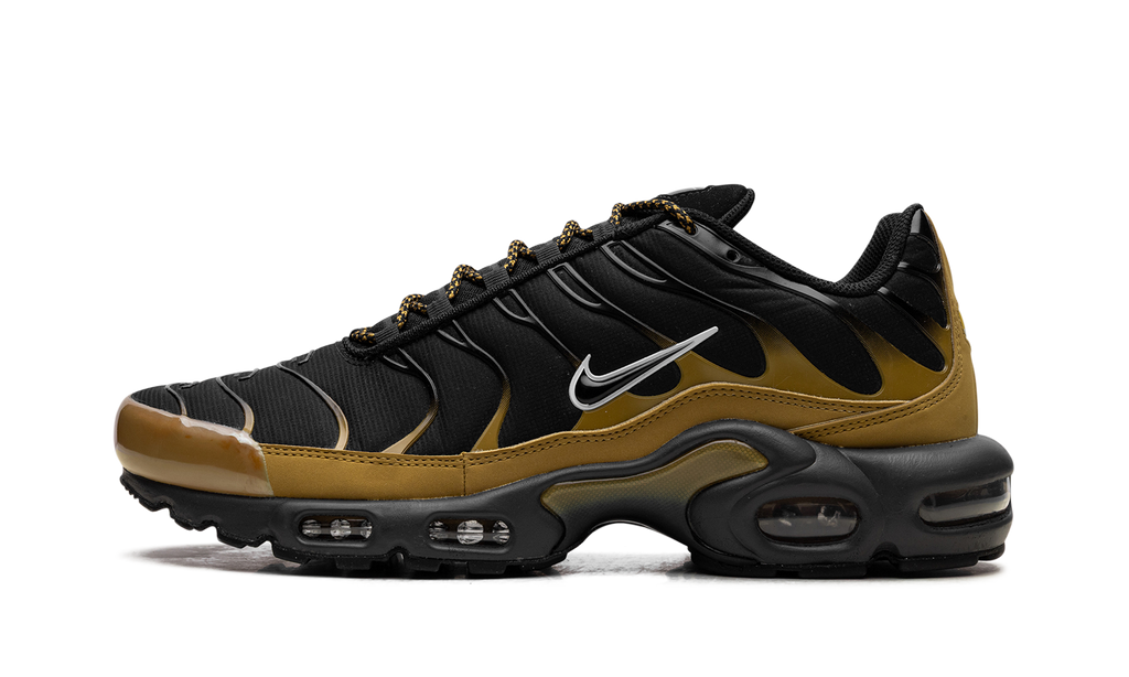 Nike AIR MAX PLUS Black FB9722-700