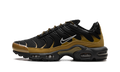 Nike AIR MAX PLUS Black FB9722-700