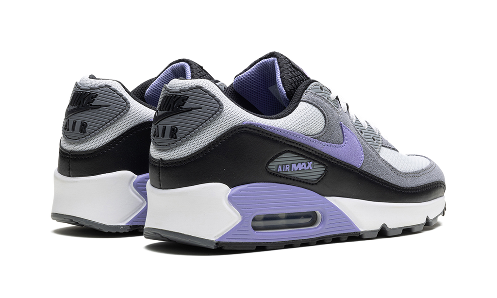 Nike Air Max 90 Light Thistle DM0029 014