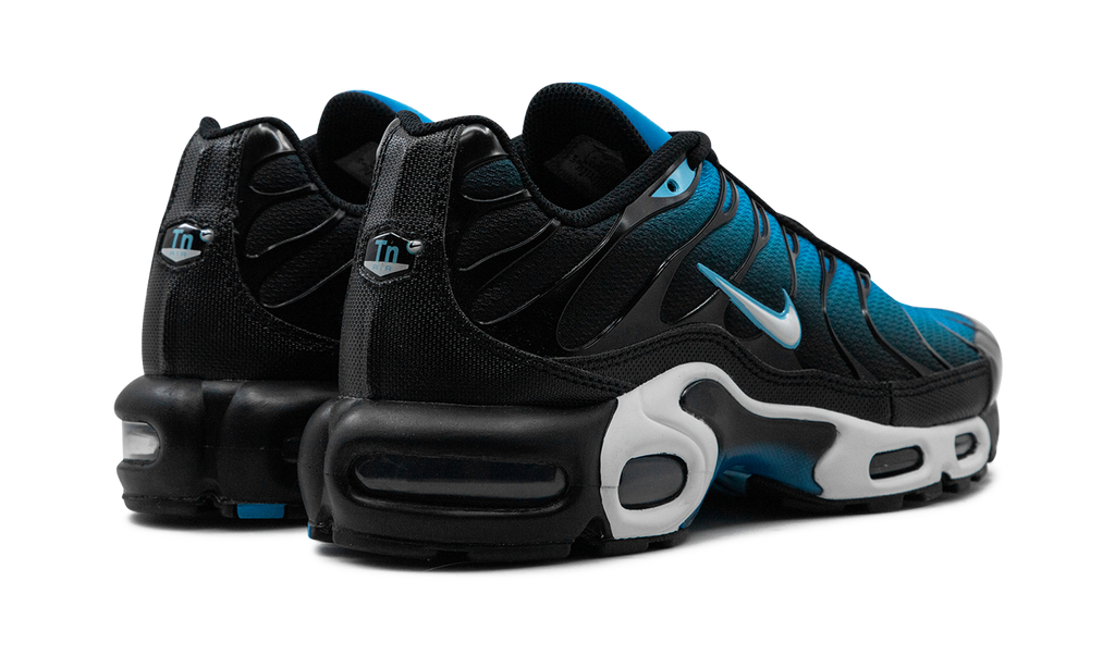 Nike Air Max Plus Aquarius Blue DM0032 402