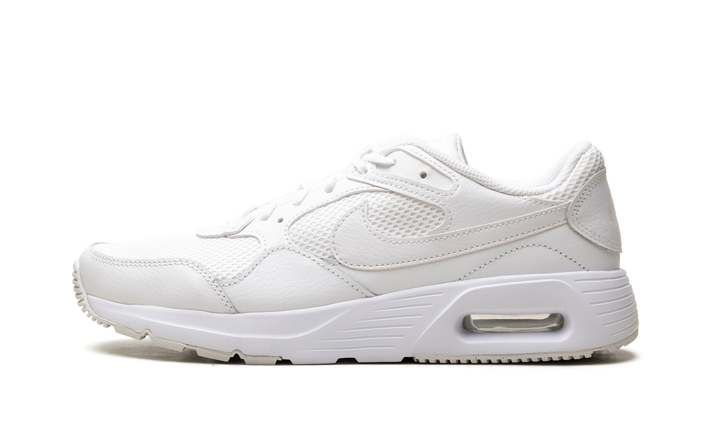 Nike Air MAX SC WMNS Photon Dust CW4554 101
