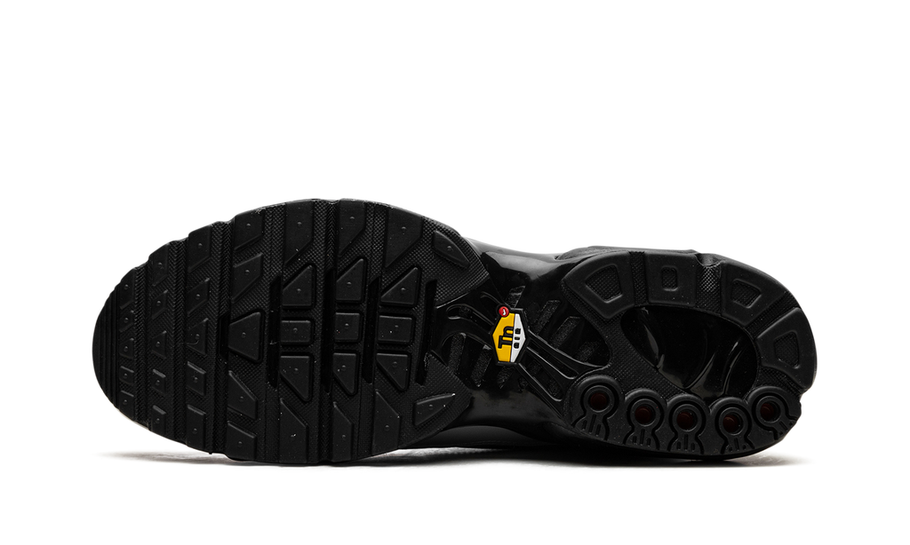 Nike Air Max Plus Wolf Grey HM6850 001