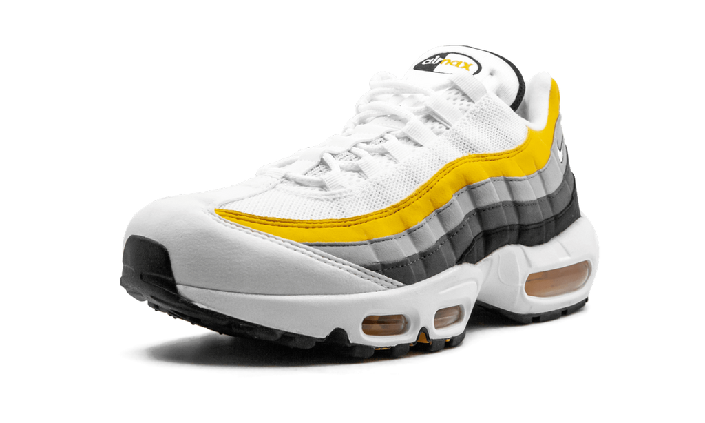 Nike Air Max 95 CD7495 100