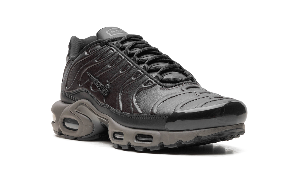 Nike Air Max Plus Black Tea / Petra Brown Black Tea / Petra Brown HJ4519 200