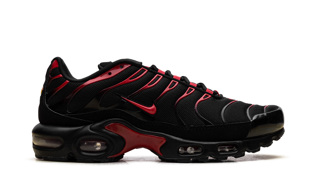 Nike Air Max Plus Bred CU4864 001