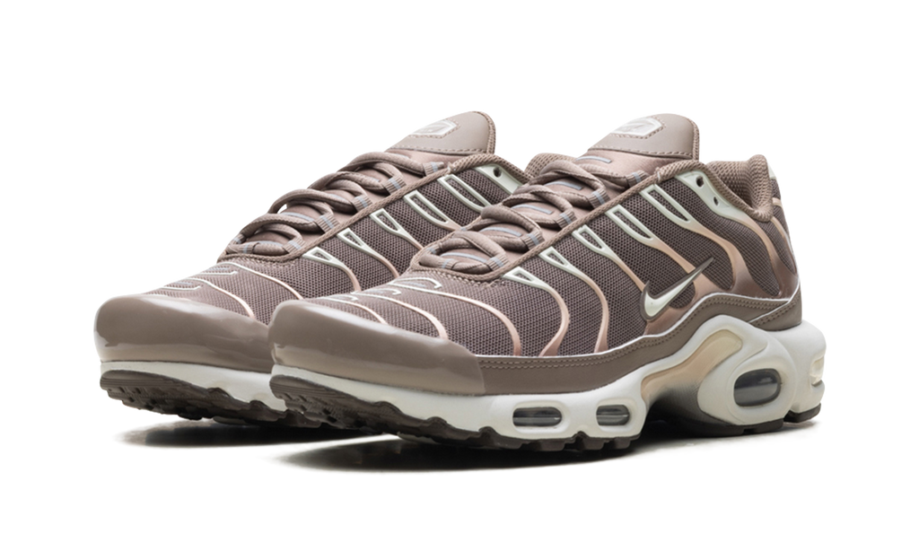 Nike Air Max Plus Mink Brown DZ3671 200