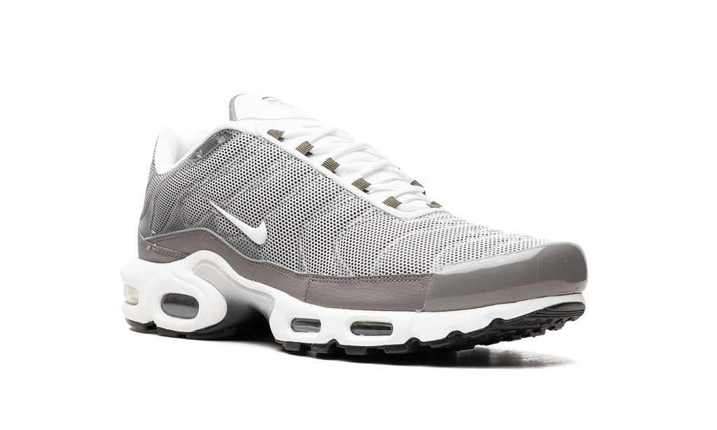 Nike Air Max Plus SE Flat Pewter DV7665 002