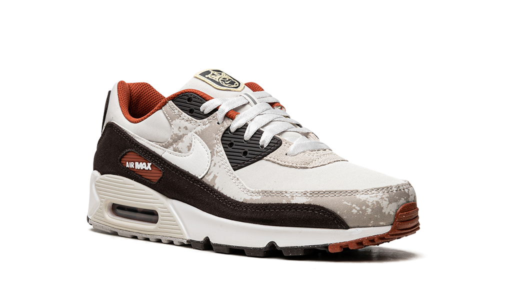 Nike AIR MAX 90 SE Social FC DX3576 001