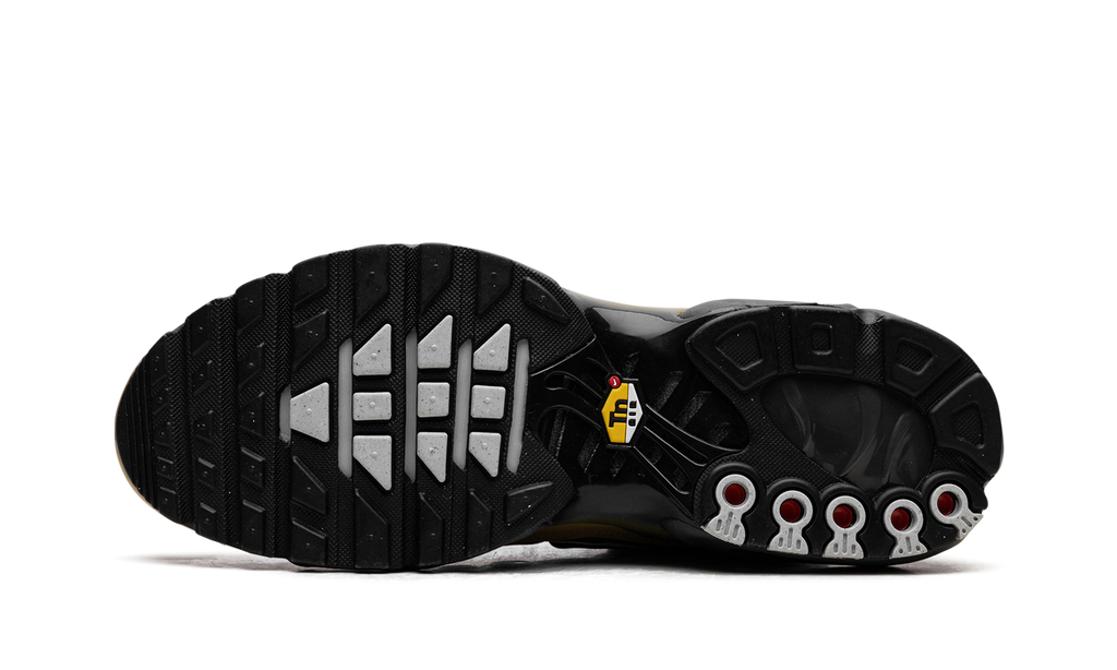 Nike AIR MAX PLUS Black FB9722-700