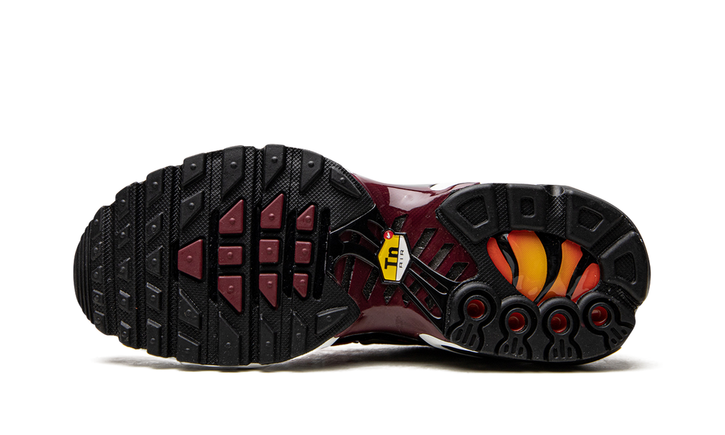 Nike AIR MAX PLUS MNS WMNS Sisterhood DO6115 500