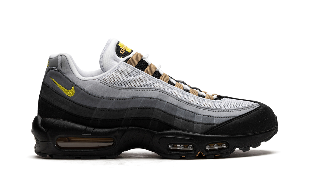 Nike Air Max 95 ICONS DX4236 100