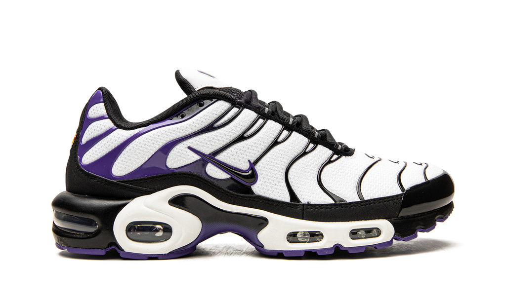 Nike Air Max Plus Persian Violet DB0682 100