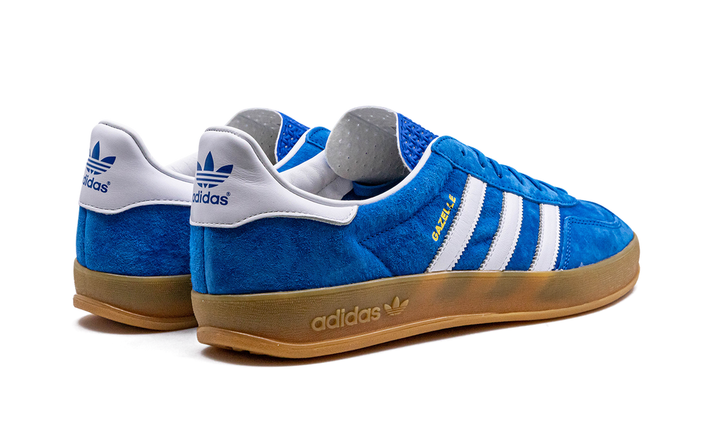 Adidas Gazelle Indoor Blue Bird H06260