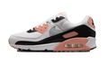 Nike AIR MAX 90 ' WMNS APRICOT AGATE (W) DH8010 109