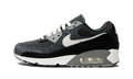 Nike Air Max 90 Off Noir DA1641 003