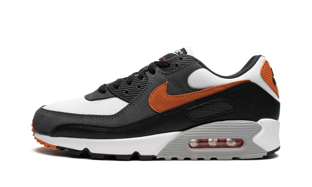 Nike Air Max 90 Starfish DM0029 101