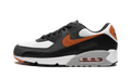 Nike Air Max 90 Starfish DM0029 101