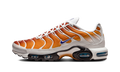 Nike Air Max Plus One Block Down - Chutney EU Exclusive FZ3308 700