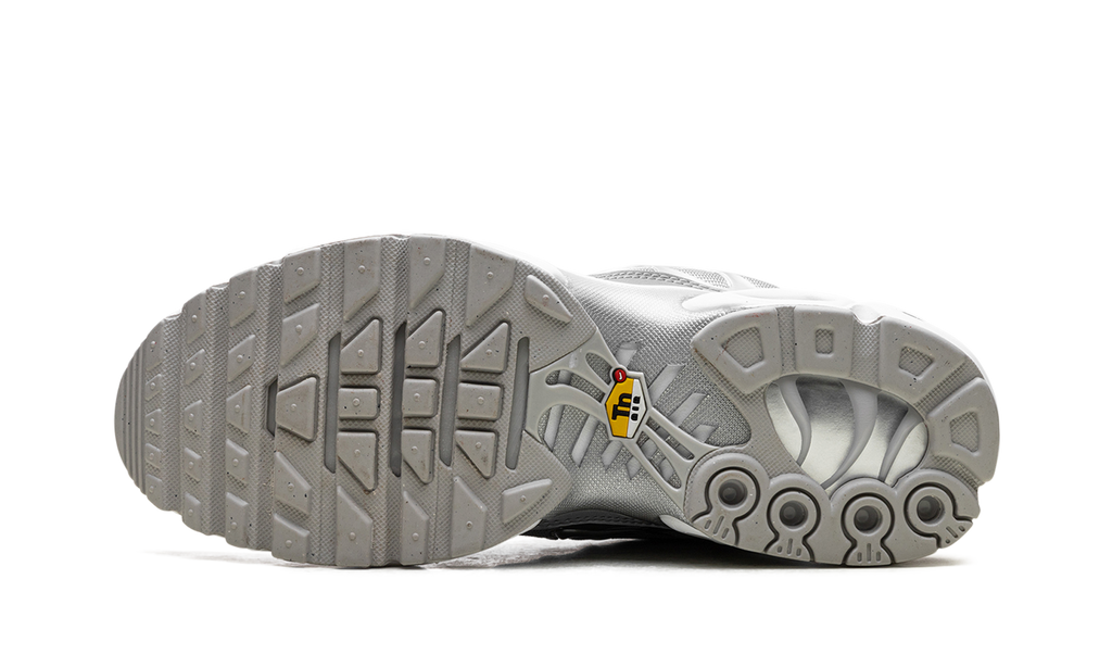 Nike Air Max Plus Metallic Silver Fj1012 095