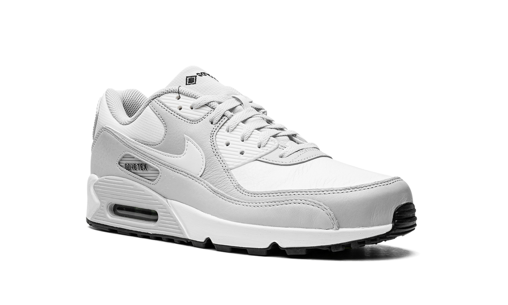 Nike Air Max 90 Gore-Tex DJ9779 003