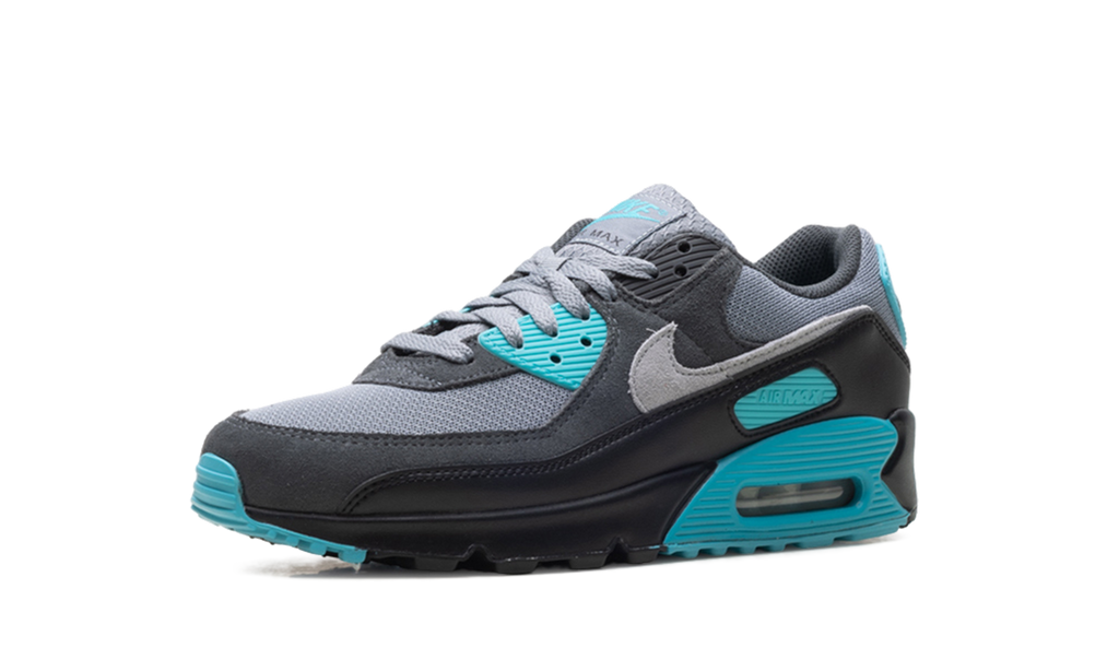 Nike Air Max 90 Dusty Cactus DM0029 013