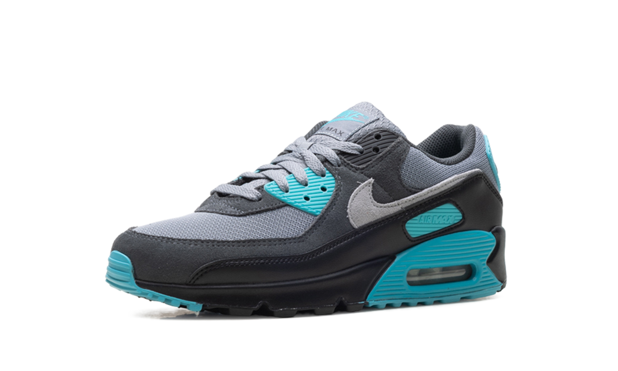 Nike Air Max 90 Dusty Cactus DM0029 013