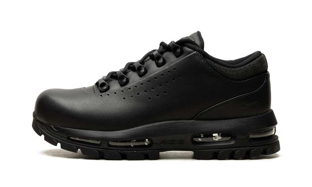 Nike Air Max Goadome Low Black IQ0641 001