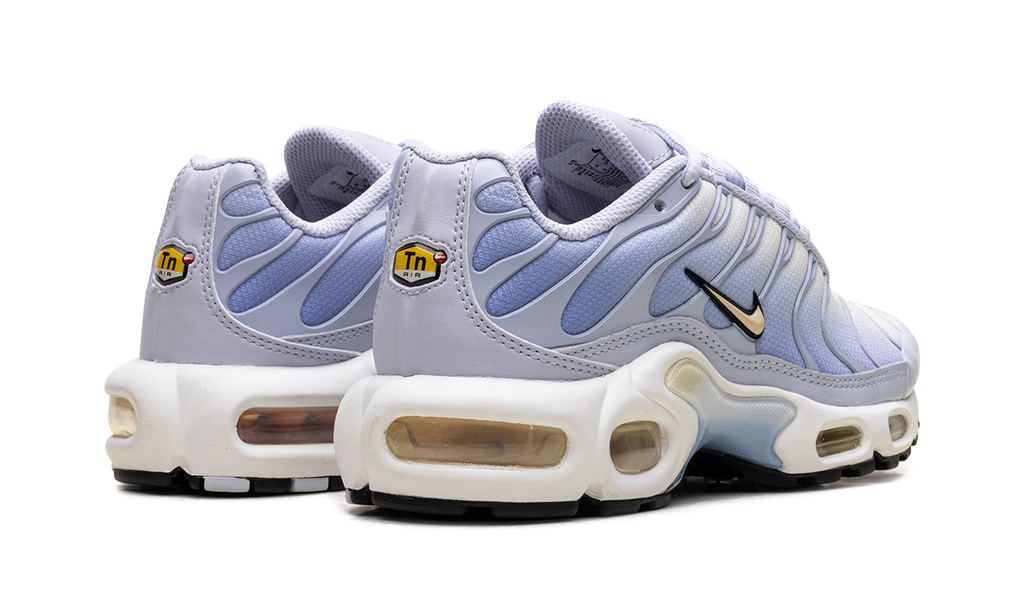 Nike Air Max Plus WMNS Daybreak DZ3670 004