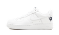 Nike Air Force 1 '07 Roc-A-Fella Records AO1070 101