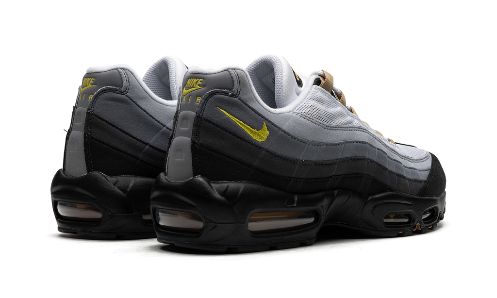 Nike Air Max 95 ICONS DX4236 100