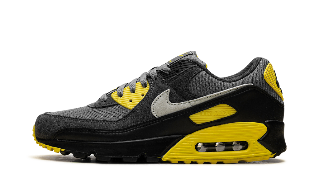 Nike Air Max 90 Smoke Grey Lightning DM0029 016