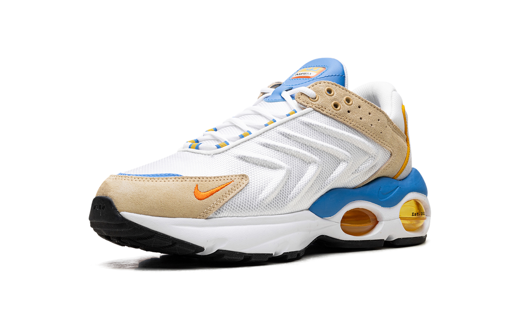 Nike Air Max TW Frank Rudy DV1232 100