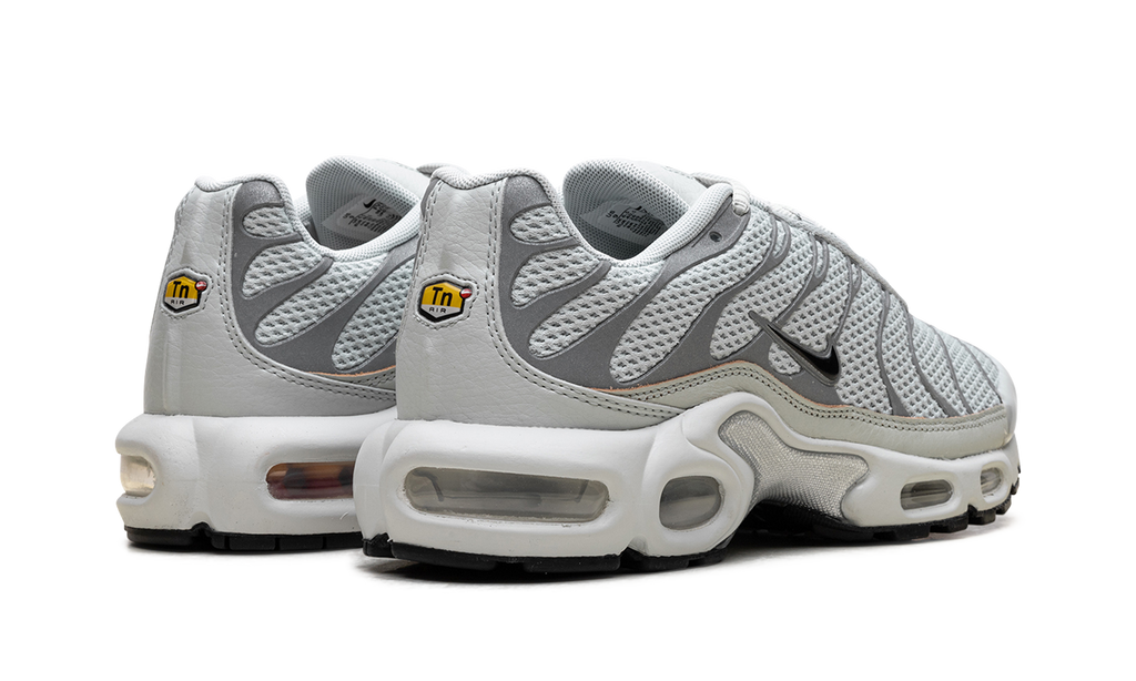 Nike Air Max Plus WMNS Light Silver FV8480 002