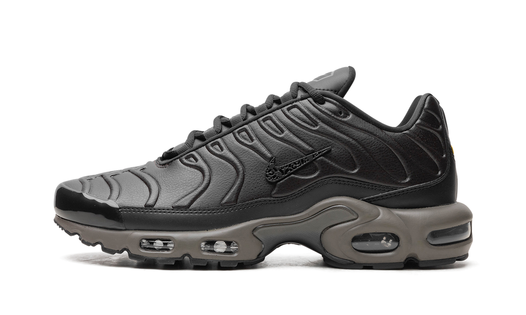 Nike Air Max Plus Black Tea / Petra Brown Black Tea / Petra Brown HJ4519 200