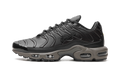 Nike Air Max Plus Black Tea / Petra Brown Black Tea / Petra Brown HJ4519 200