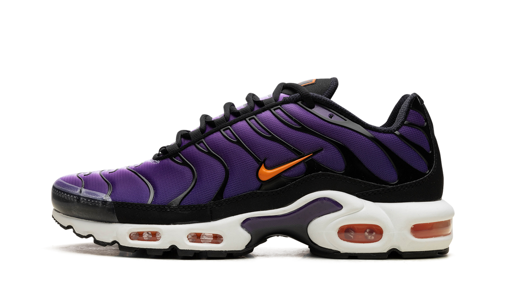 Nike Air Max Plus Voltage Purple DX0755 500