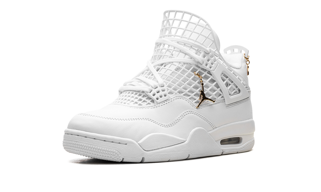 Air Jordan 4 WMNS Net FN7251 107