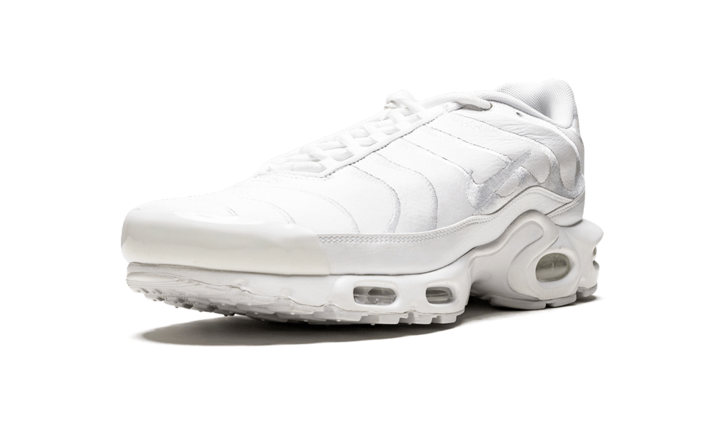 Nike Air Max Plus Triple Black AJ2029 001
