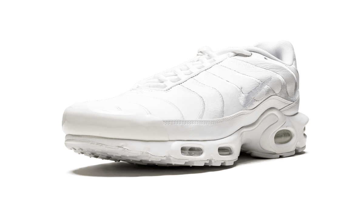Nike Air Max Plus Triple Black AJ2029 001