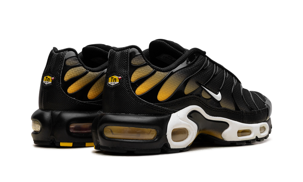 Nike Air Max Plus Black University Gold White DM0032 013
