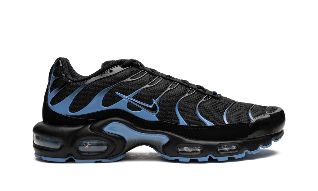 Nike Air Max Plus Black / University Blue DM0032 005