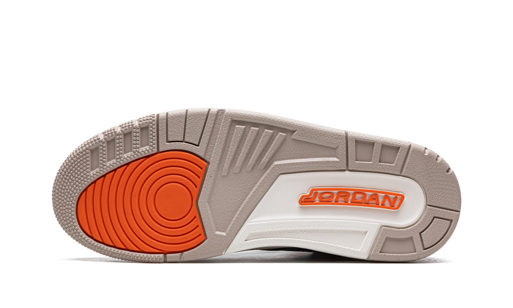 Air Jordan 3 Retro Desert Elephant CT8532 008