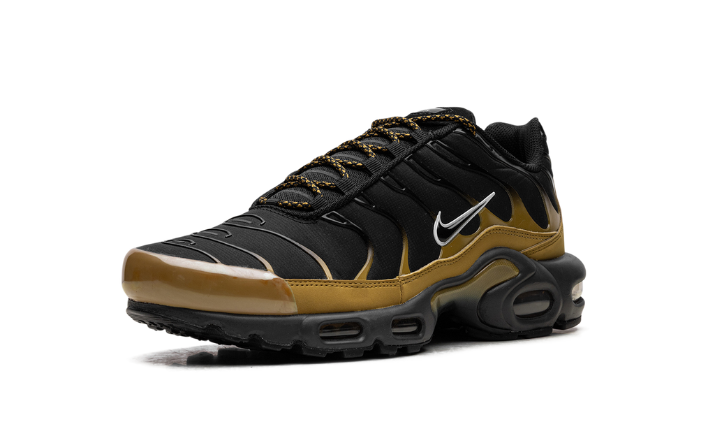 Nike AIR MAX PLUS Black FB9722-700