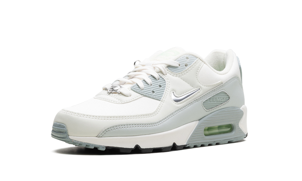 Nike Air Max 90 WMNS Silver FN6948-100