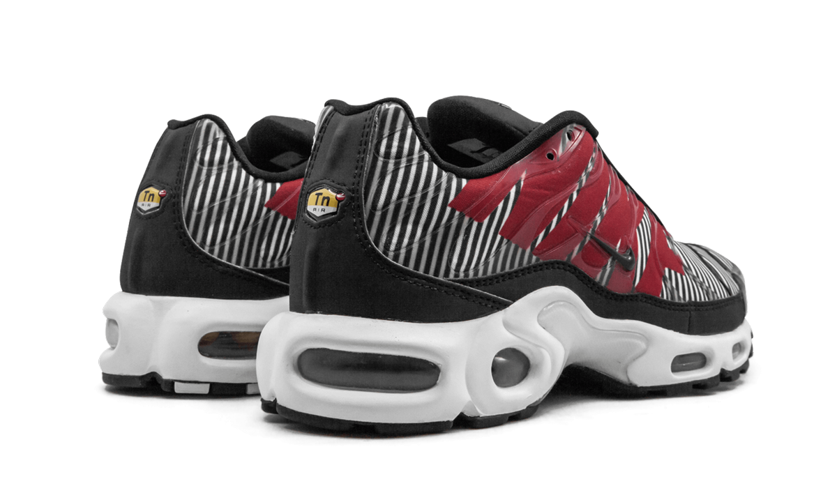 Nike Air Max Plus TN SE Striped AT0040 001