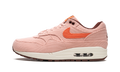 Nike Air Max 1 Premium Coral Stardust FB8915 600