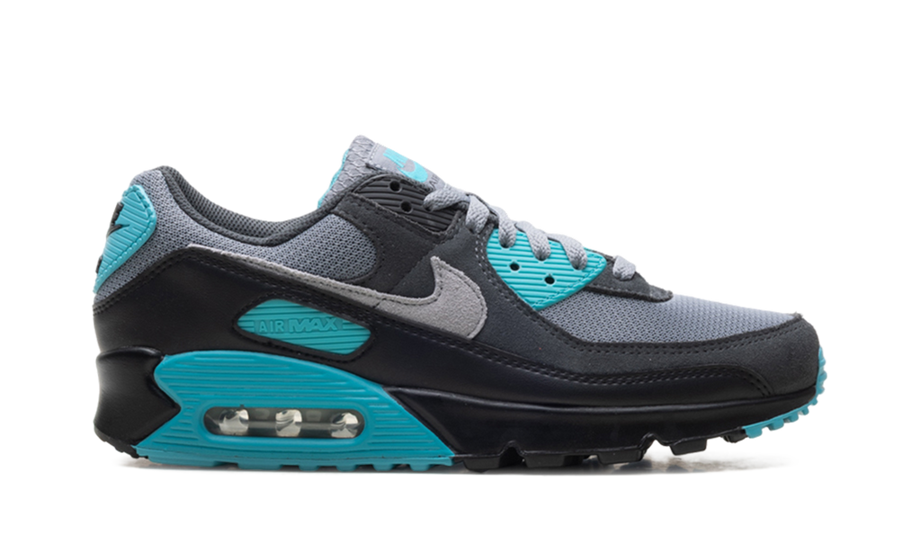Nike Air Max 90 Dusty Cactus DM0029 013