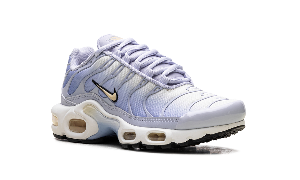 Nike Air Max Plus WMNS Daybreak DZ3670 004